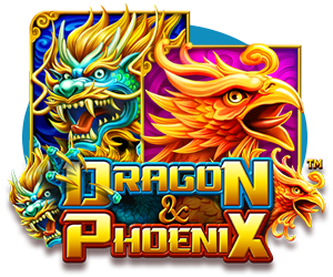 dragon phoenix